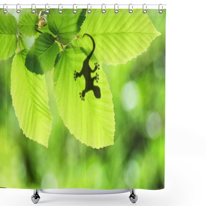 Personality  Tropical Background Shower Curtains