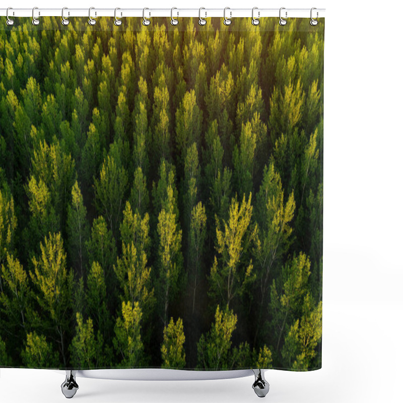 Personality  Green Aspen Tree Forest From Drone Pov, Aerial View Of Poplar Woodland In Summer Sunset Shower Curtains