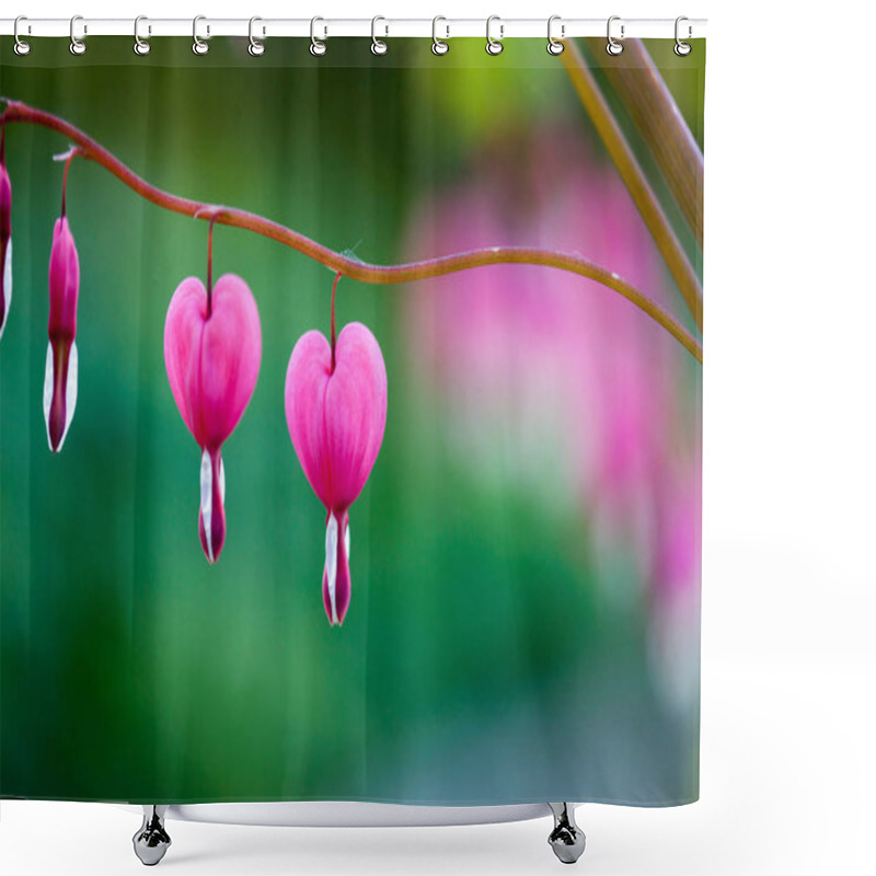 Personality  Pink Bleeding Heart Flower  Shower Curtains