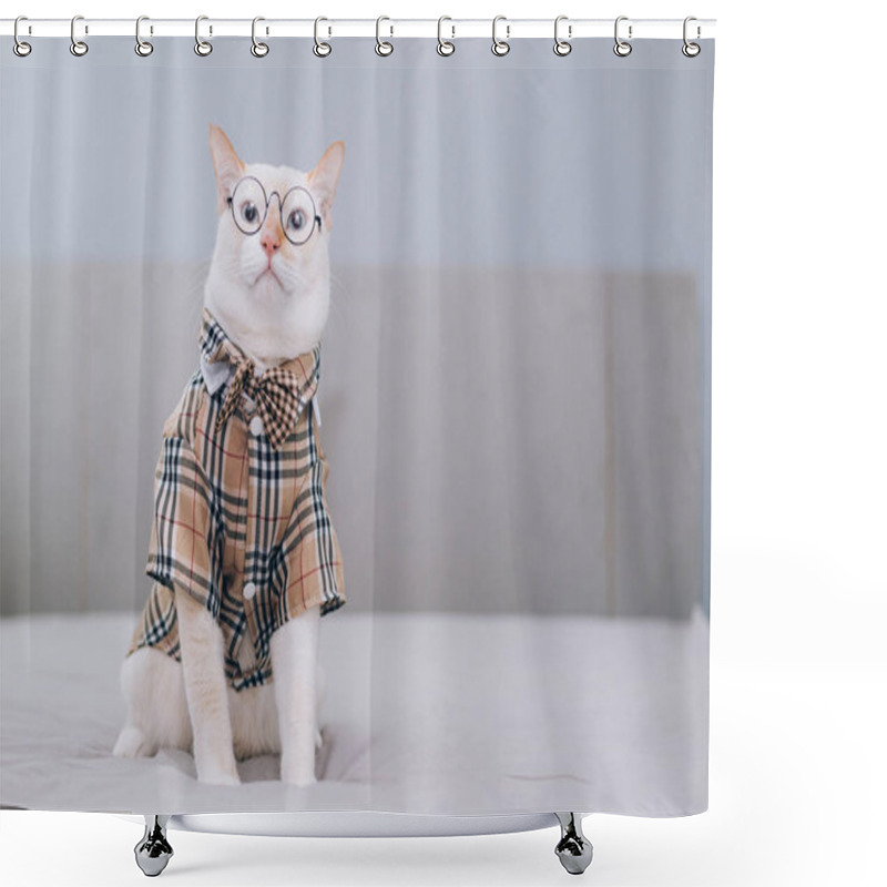 Personality  Portrait Of White Cat Wearing Glasses,pet Fashion Concept.White Cat Lying On Bed. Shower Curtains