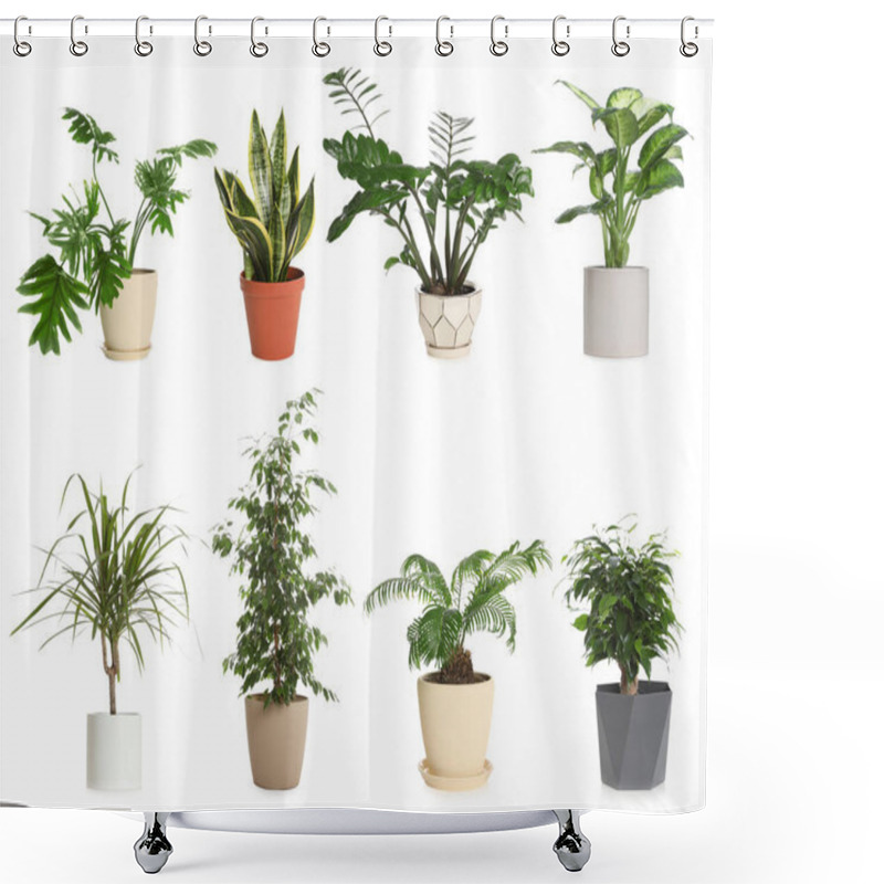 Personality  Set Of Different Houseplants In Flower Pots On White Background Shower Curtains