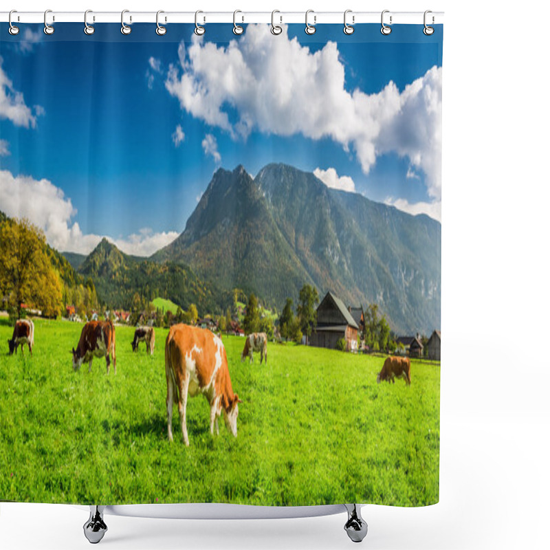 Personality  Herd Of Cows Grazing In Alps Shower Curtains