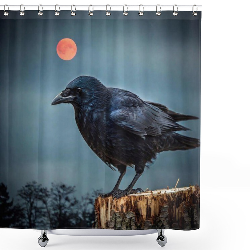 Personality  A Crow In The Night Shower Curtains