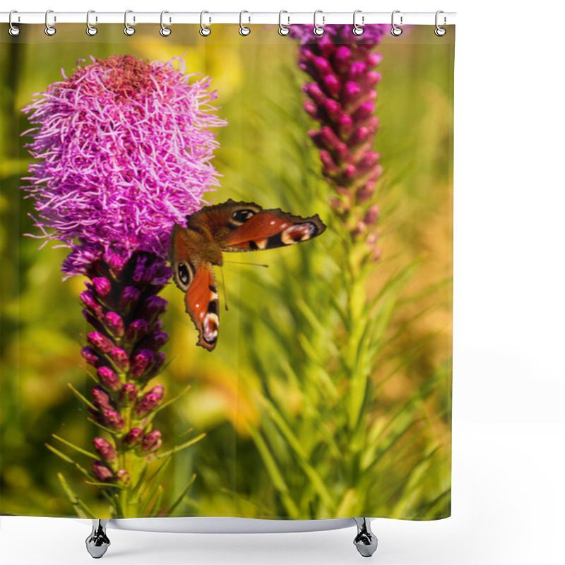 Personality  Buterfly In The Garden With Pink Flower Shower Curtains