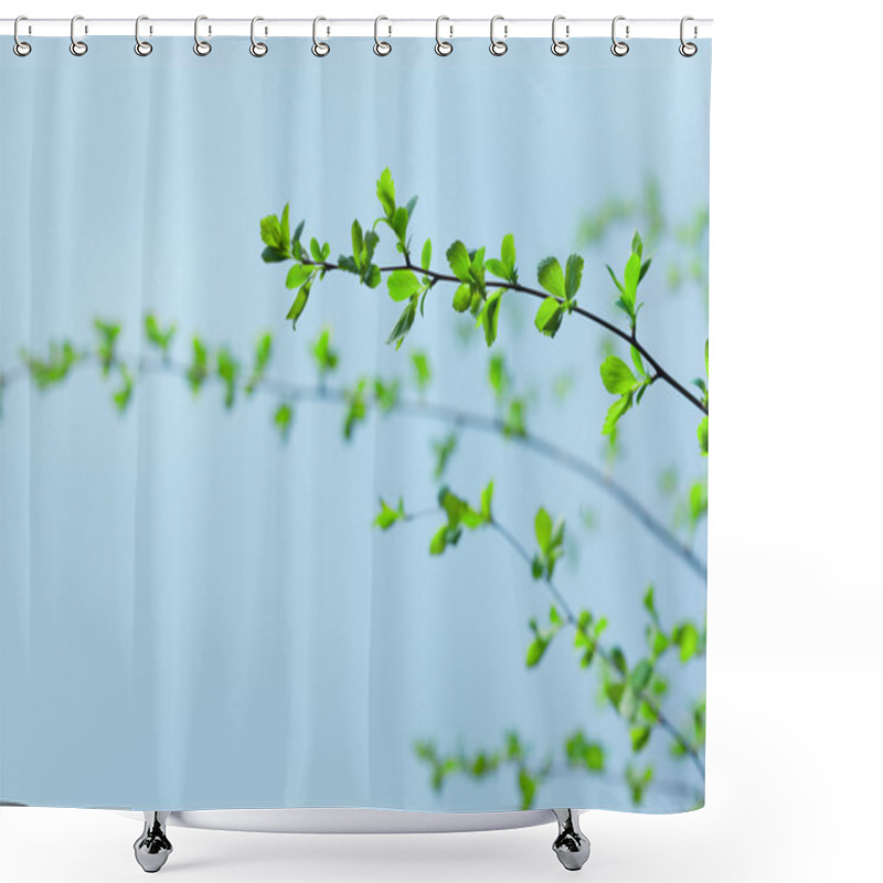 Personality  Green Branches Shower Curtains