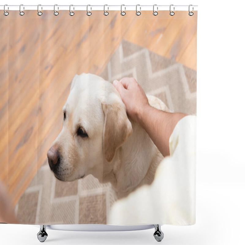 Personality  Partial View Of Man Petting Labrador Dog, Blurred Foreground Shower Curtains