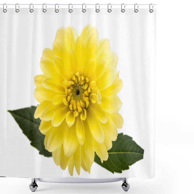 Personality  Delicate Beautiful Dahlia  Shower Curtains