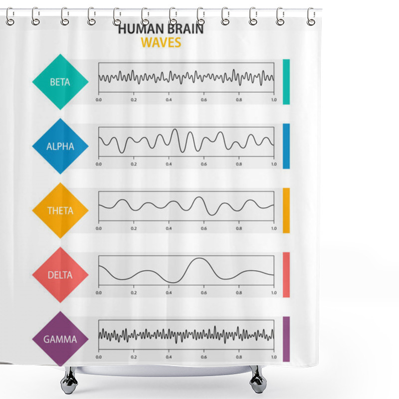 Personality  Set Of Brain Waves Oscillation. Beta, Alpha, Theta, Delta, Gamma Brain Waves. Human Rhythm, Types, Amplitude Of Mind Waves. Vector Illustration Shower Curtains