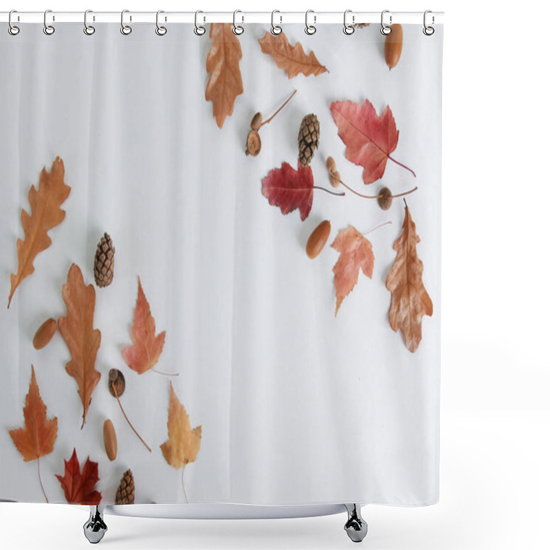 Personality  Dry Autumn Oak And Maple Leaves, Fir Tree Cones, Acorns Forming Border In Corners. Isolated Objects On White, Arrangement, Composition, Flat Lay, Top View, Copy Space. Fall Season Concept Shower Curtains