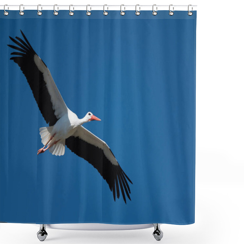 Personality  Flying Stork Under Blue Sky, Stork Flying In Nature (Ciconia Ciconia) Shower Curtains