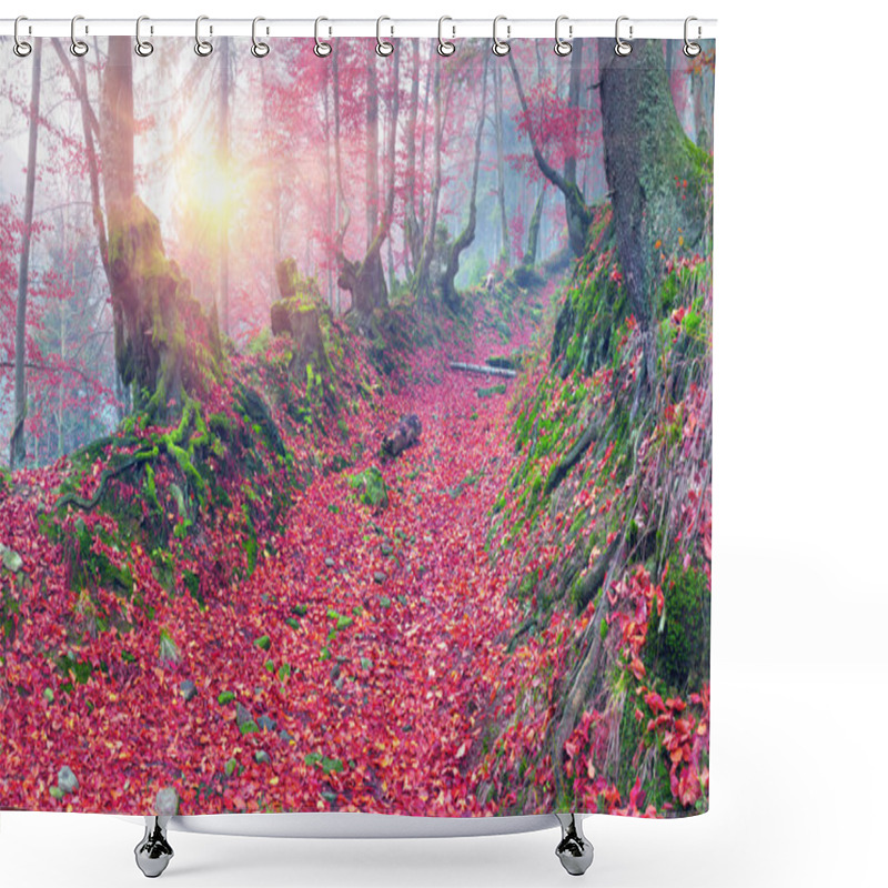 Personality  Beech Forest In Autumn Mountains Shower Curtains