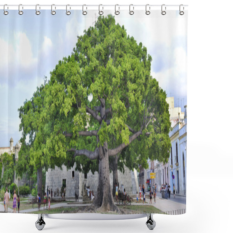 Personality  Old Havana Plaza Panorama With Ceiba Tree, August 2009 Shower Curtains