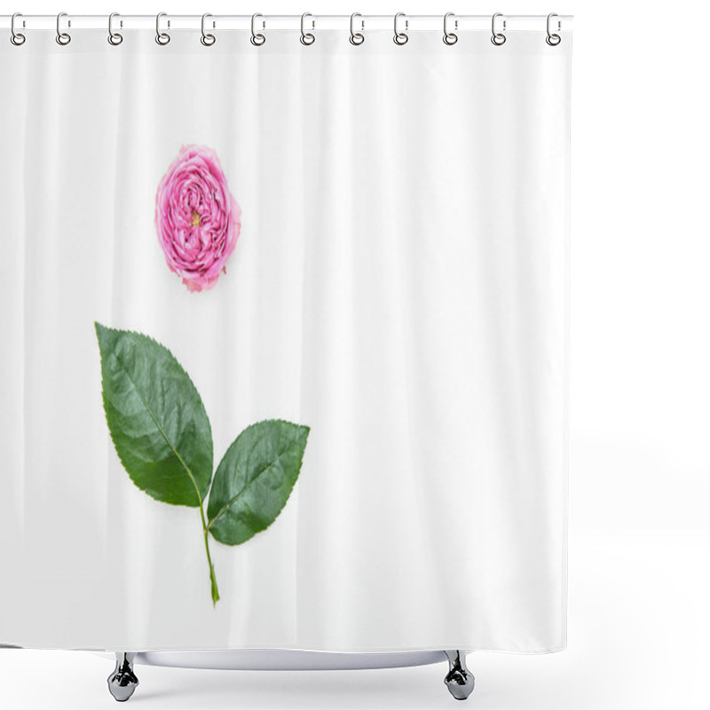 Personality  Beautiful Pink Rose Shower Curtains