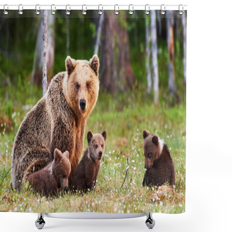 Personality  Mother Brown Bear And Her Cubs Shower Curtains