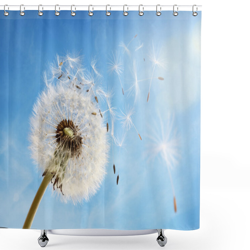 Personality  Dandelion Clock Dispersing Seed Shower Curtains