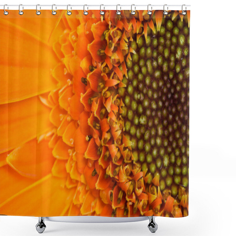 Personality  Gerber Flower Shower Curtains