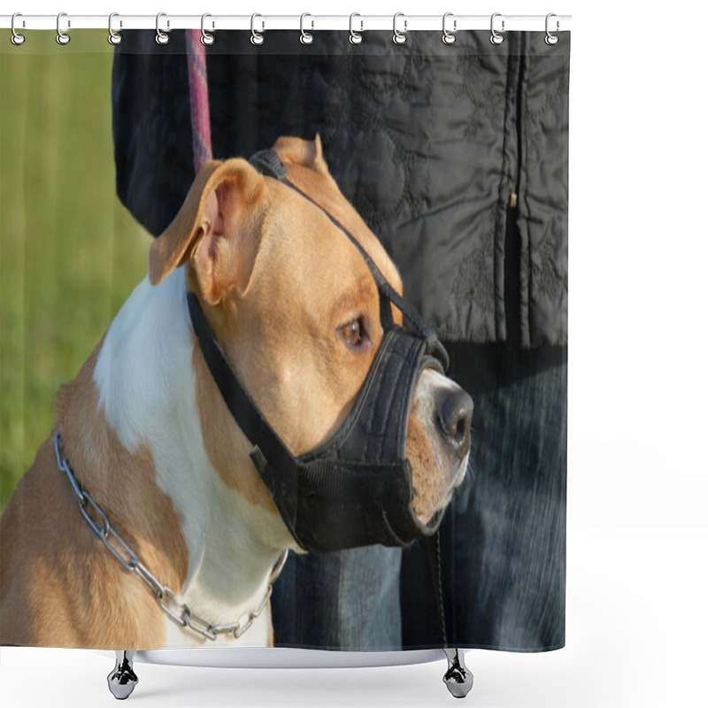 Personality  Dog And Muzzle Shower Curtains