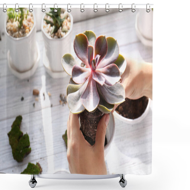 Personality  Florist Replanting Succulent Shower Curtains