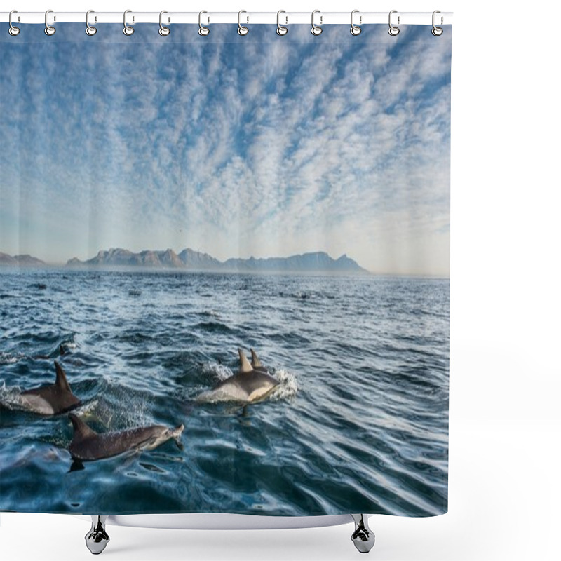 Personality  Group Of Dolphins Swimming In The Ocean  Shower Curtains