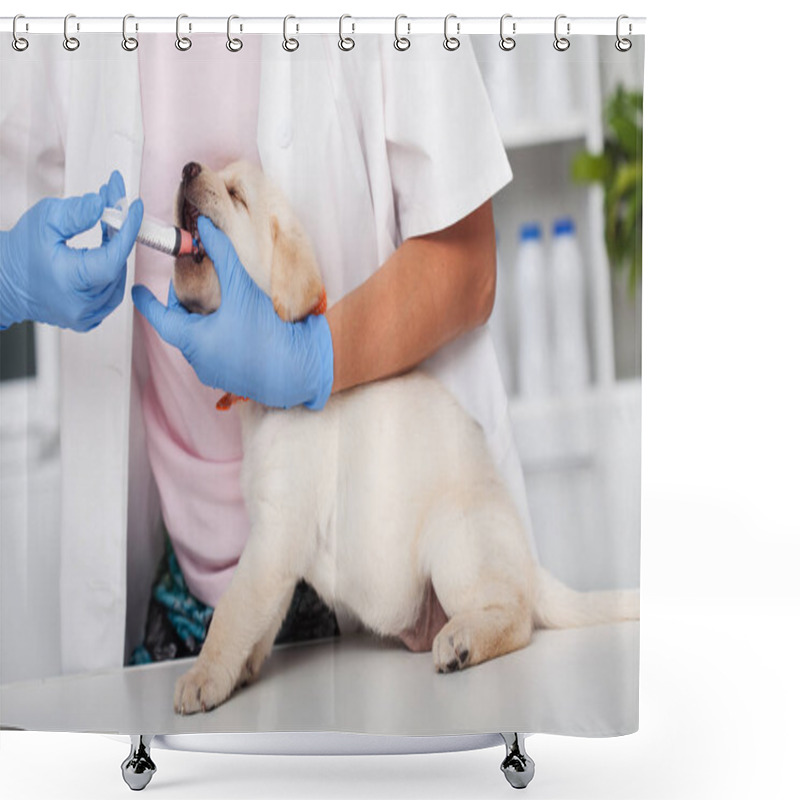 Personality  Reluctant Labrador Puppy Dog Getting Its Vermicide Medication - Sititng On The Examination Desk At The Veterinary Doctor Office Shower Curtains