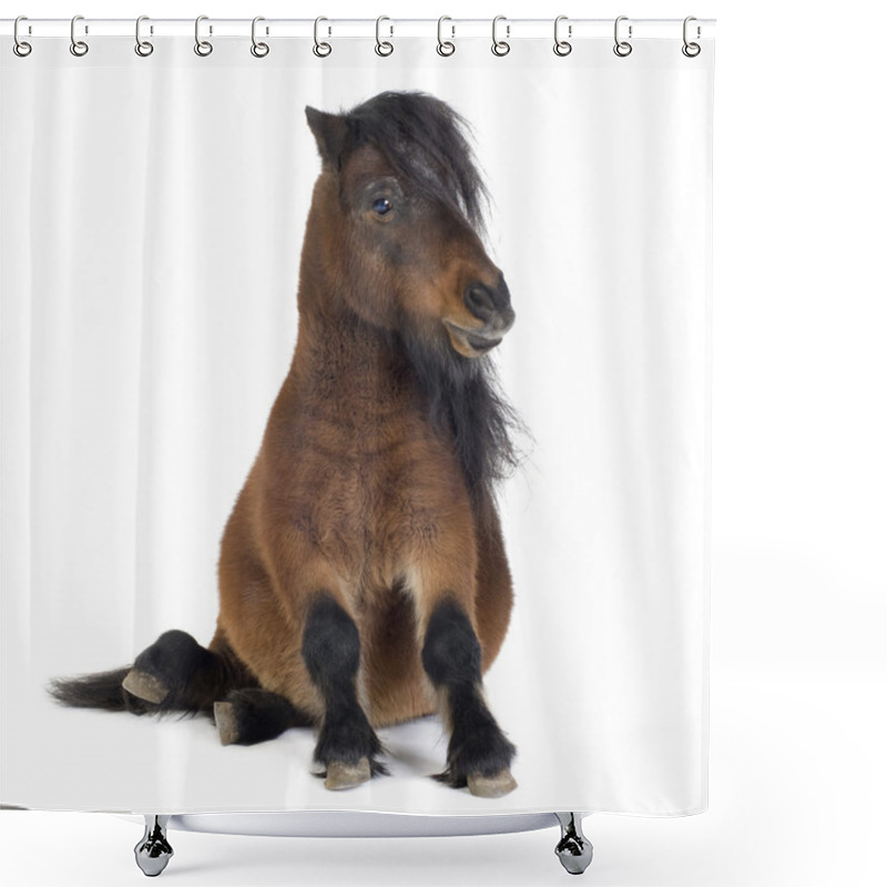 Personality  Shetland Pony Shower Curtains