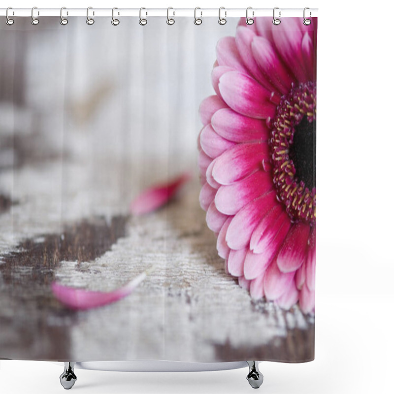 Personality  Gerbera Flower Petals, Flora Shower Curtains