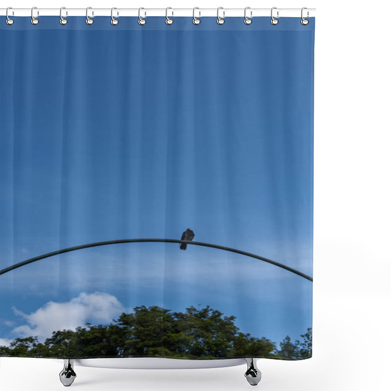 Personality  Low Angle View Of Pigeon On Arch With Blue Sky And Trees At Background Shower Curtains