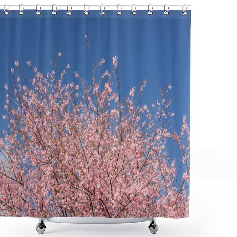 Personality  Beautiful Cherry Blossom Against Blue Sky Shower Curtains