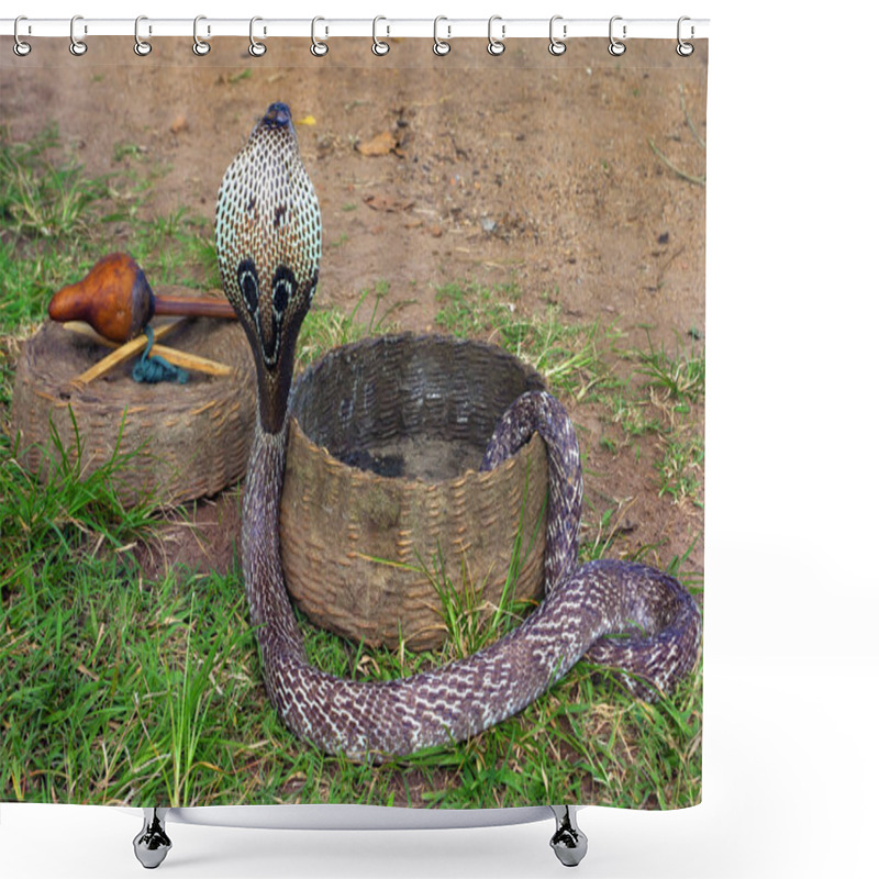 Personality  Snake Charming Shower Curtains