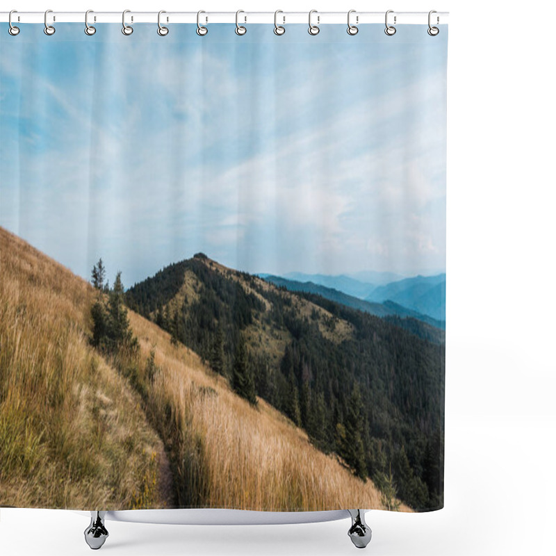 Personality  Yellow Meadow With Barley In Mountains Against Sky With Clouds  Shower Curtains