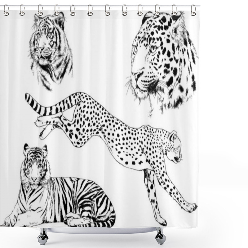 Personality  Set Of Vector Drawings On The Theme Of Predators Tigers Are Drawn By Hand With Ink Tattoo Logos Shower Curtains