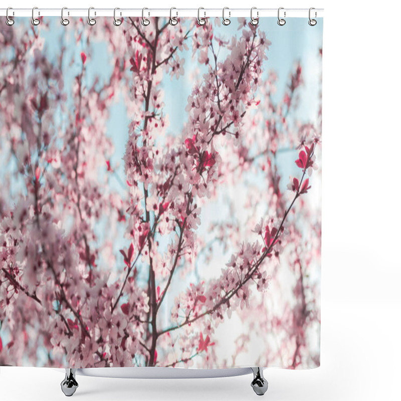 Personality  Spring Background In The Form Of Flowering Tree Branches With Pink Flowers Against A Blue Sky. Spring Flowers. Beautiful Nature Scene With A Flowering Tree And Sun Sky. Easter Sunny Day. In The Spring Shower Curtains