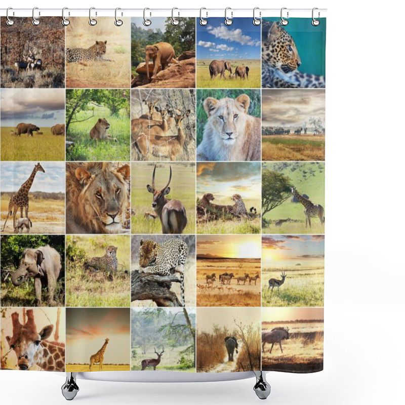 Personality  African Safari Shower Curtains