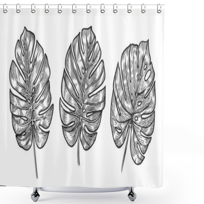 Personality  Monstera Tropical Leaves Sketch. Vector Illustration Set Shower Curtains