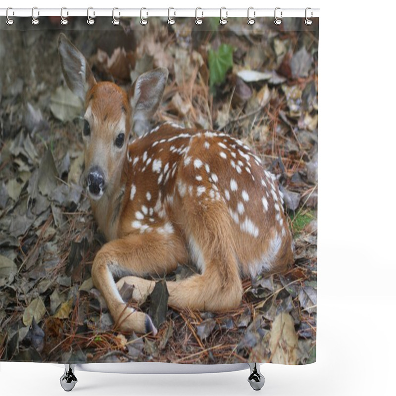 Personality  White-tailed Deer Fawn Shower Curtains