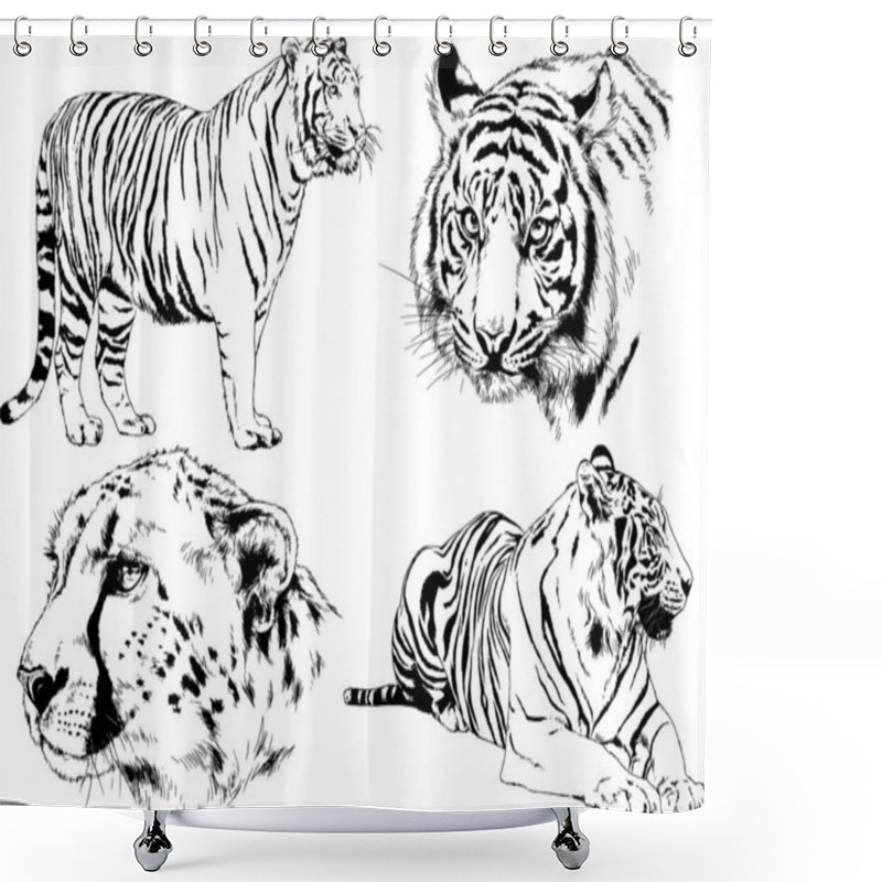 Personality  Set Of Vector Drawings On The Theme Of Predators Tigers Are Drawn By Hand With Ink Tattoo Logos Shower Curtains