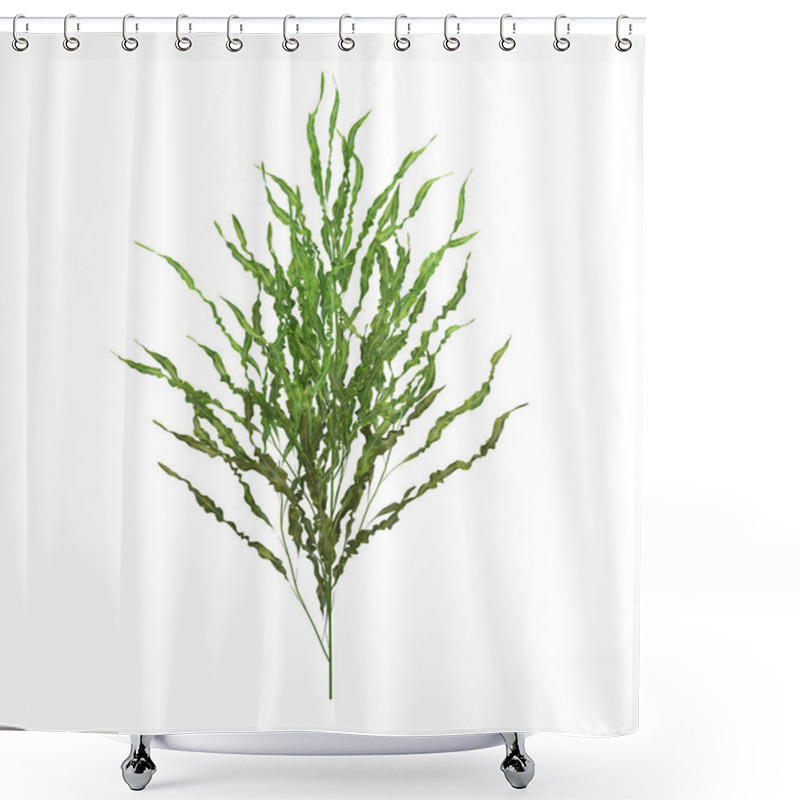 Personality  3d Render Brush Tree Isolated  On White Background Shower Curtains