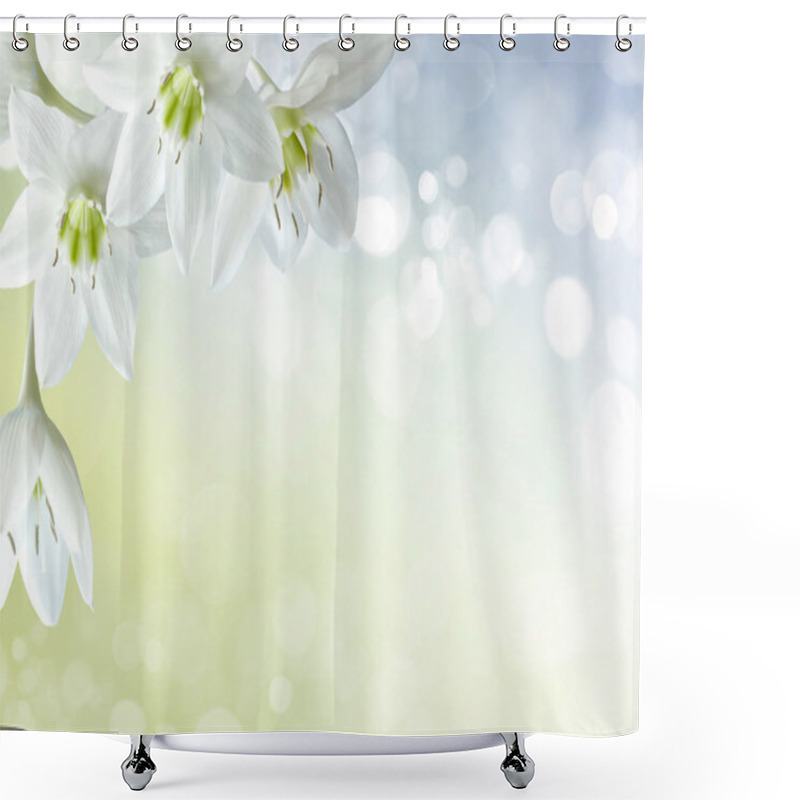 Personality  Beautiful Lily Flowers Borde Shower Curtains