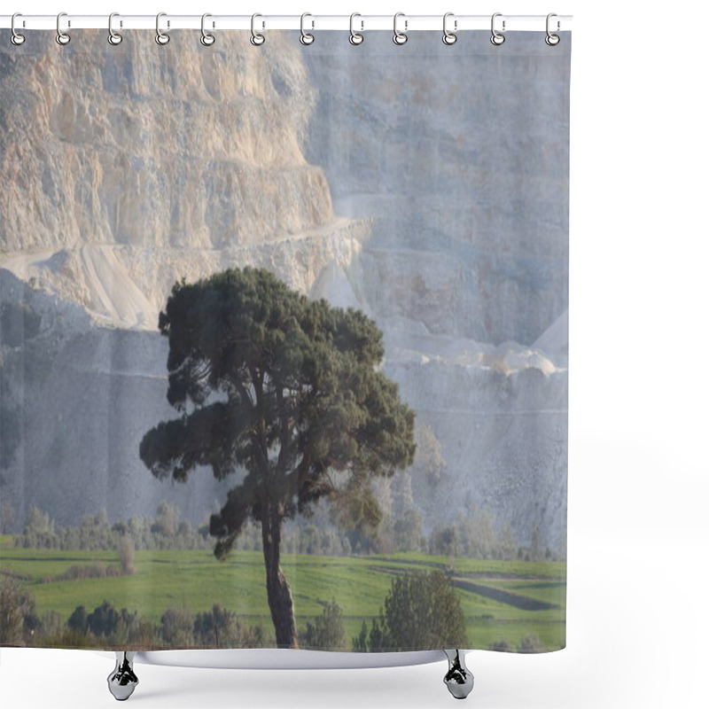 Personality  A Solitary Pine Tree Standing In The Middle Of An Open Field Shower Curtains