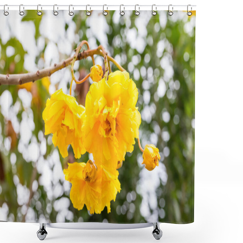 Personality  Cotton Tree, Yellow Silk Cotton, Butter Cup Flower Shower Curtains