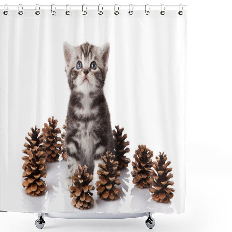 Personality  British Kitten With Pine Cones On White. Shower Curtains