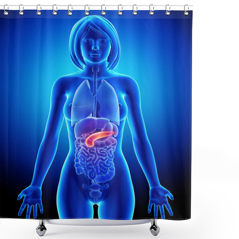 Personality  Female Pancreas Anatomy In Blue X-ray Shower Curtains