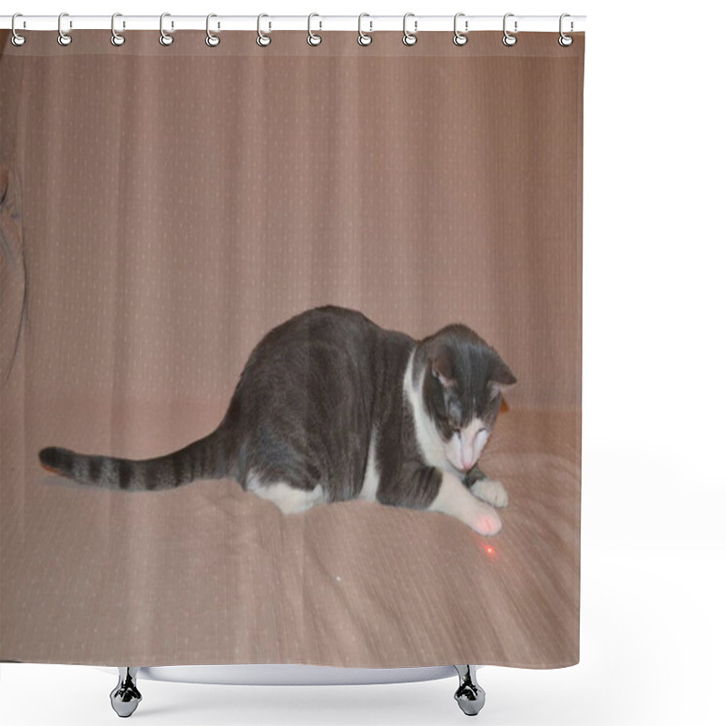 Personality  Portrait Of A Gray And White Playful Cat In The Apartment. Shower Curtains