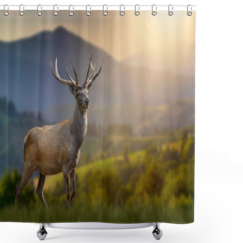 Personality  Red Deer Stands In The Grass Against The Backdrop Of Mountains At Sunset Shower Curtains