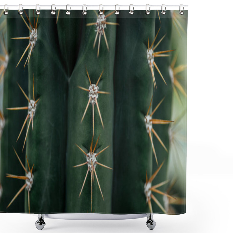 Personality  Close Up View Of Sharp Needles On Green Cactus Shower Curtains