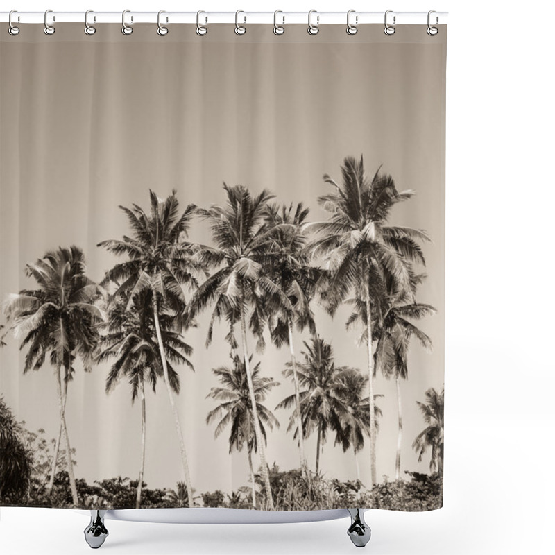 Personality  Coconut Palm Trees And Mangrove In Tropics  Shower Curtains