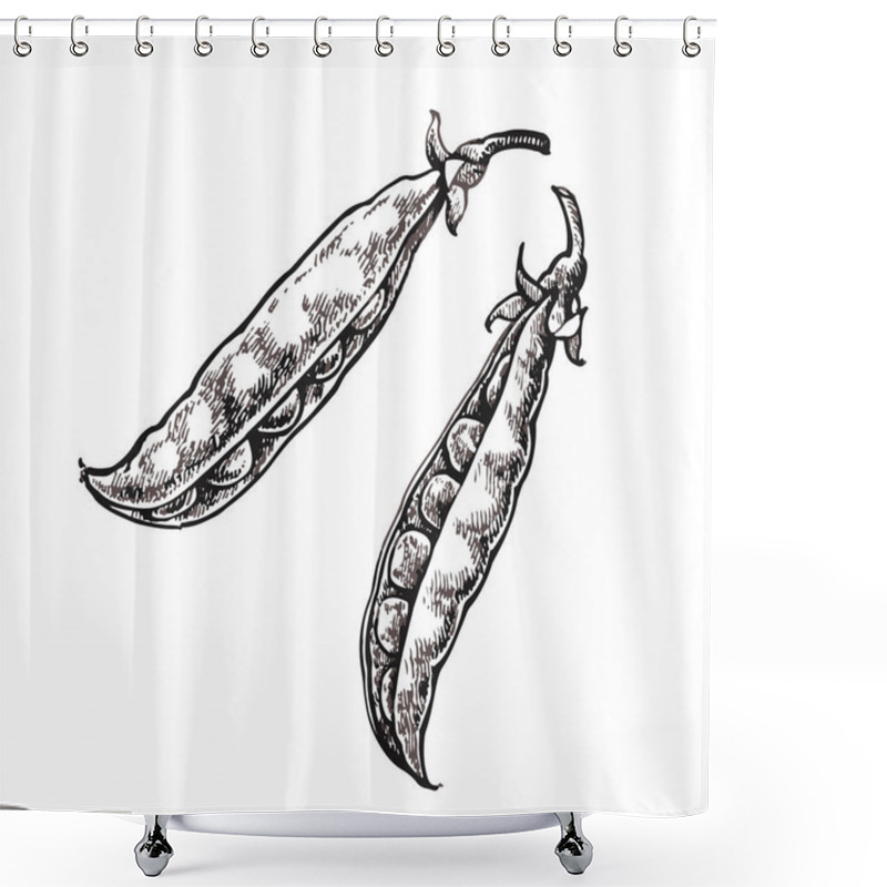 Personality  Hand Drawn Sketch Peas. Organic Food Illustration Isolated On White Background. Shower Curtains