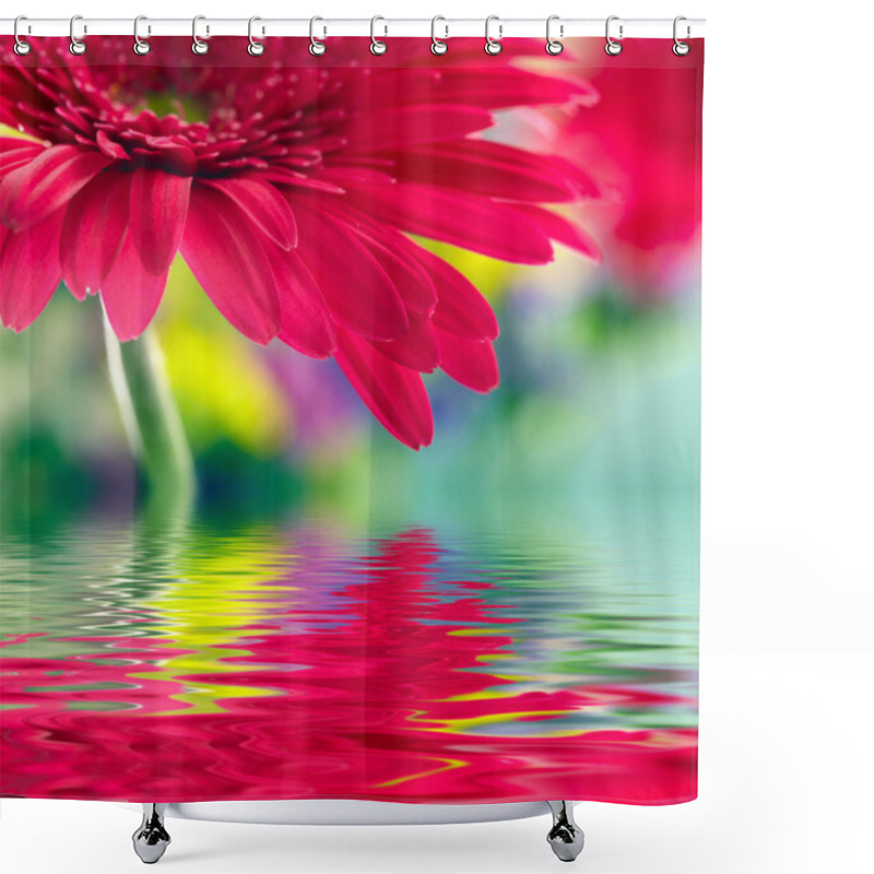 Personality  Closeup Of Pink Daisy-gerbera Reflected In The Water Shower Curtains