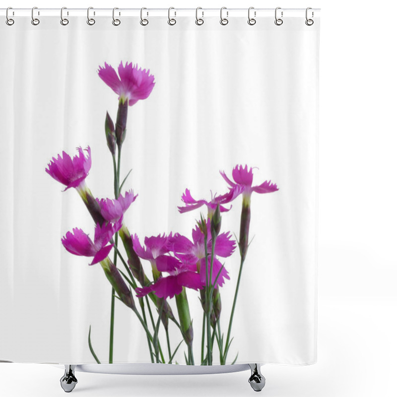 Personality  Little Pink Carnations    Shower Curtains