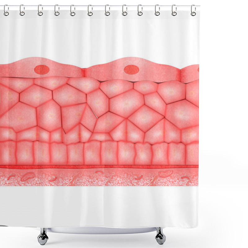 Personality  Compound Epithelium Shower Curtains